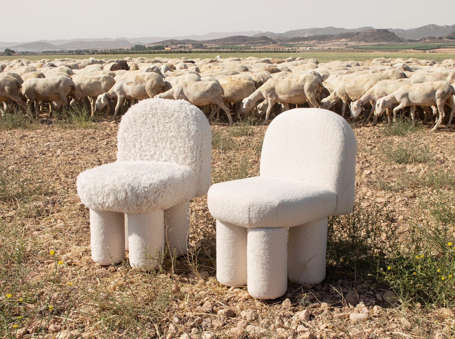Deux chaises sculpturales en bouclé blanc sur un sol rocailleux. Un grand troupeau de moutons paît derrière elles.